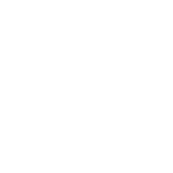 Brain - Icon