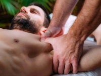 the online physiotherapist